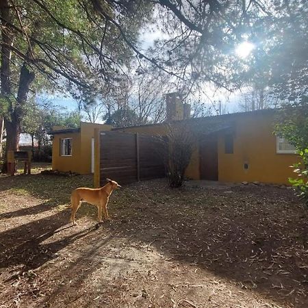 La Nilda Guest House Tandil Ngoại thất bức ảnh